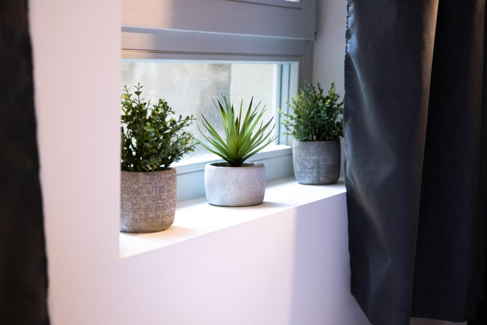 Le St Germain - Petillant Studio Decore Avec Gout En Centre-Ville 里昂 外观 照片